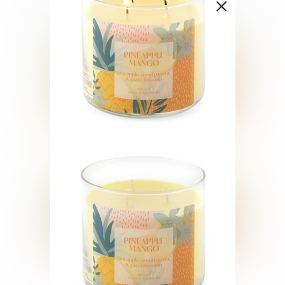 Distant Lands Pineapple Mango 3 wick candle, new - Picture 3 of 4